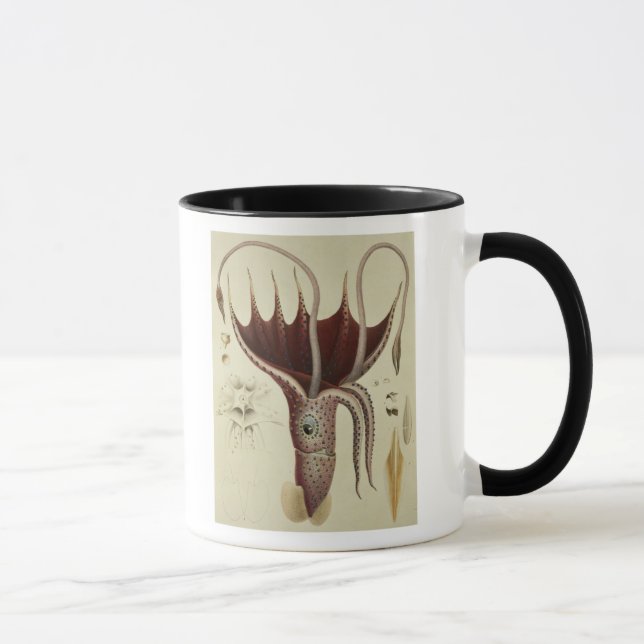 Caneca Calamar, Pl.2 'de Histoire Naturelle (Direita)