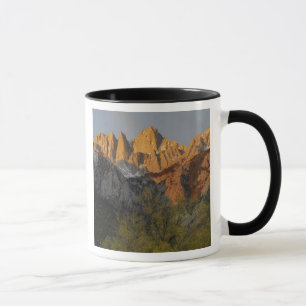 Caneca Califórnia, Monte Whitney, Floresta Nacional Inyo 