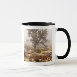 Caneca Califórnia: Monumento Nacional Joshua Tree,