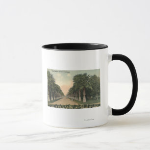 Caneca CaliforniaPalms ao lado da estrada