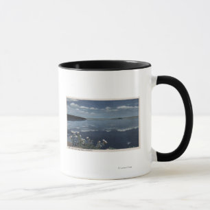 Caneca CaliforniaView do mono lago na serra alta