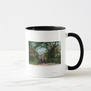 Caneca Calistoga e Geyser Stagecoach na Foss Road