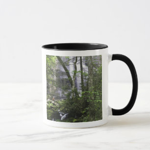 Caneca Caminhante admira Falls Branch Falls