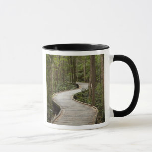 Caneca Caminho de barco para Nelson Falls, Franklin - Gor
