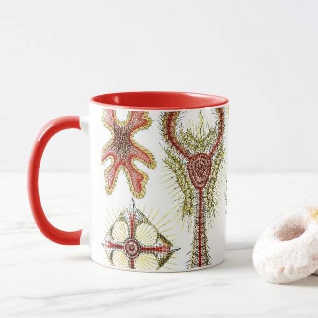 Caneca Camomila Selvagem por Ernst Haeckel, Natureza Vint (Com Donut)
