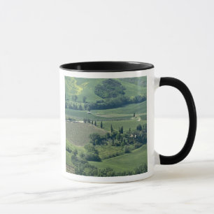 Caneca Campestre perto de Montepulciano, Val d'Orcia,