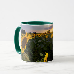 Caneca Campo de girassóis de florescência