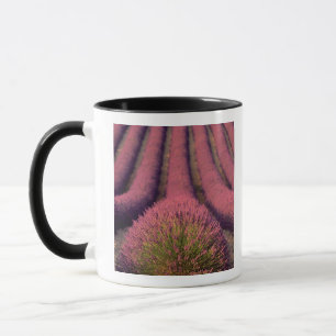 Caneca Campo de lavanda na Alta Provença, França 2