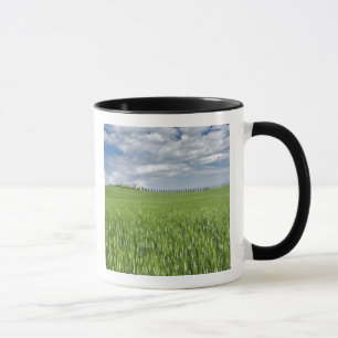 Caneca Campo de trigo e estrada ladeada por ciprestes maj