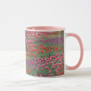 Caneca Campo De Tulipas