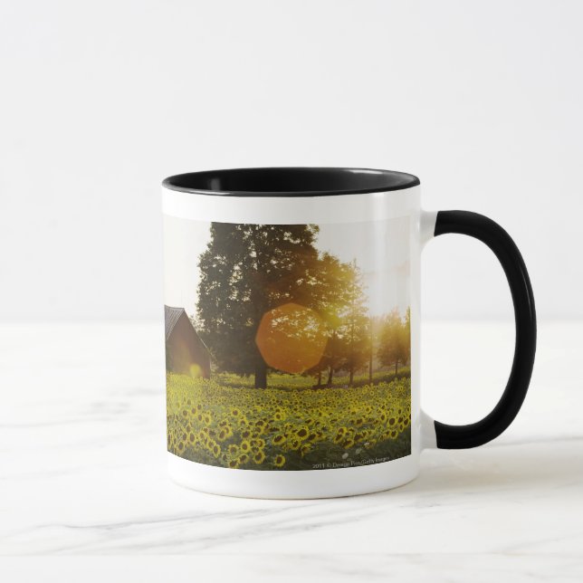 Caneca Campo do girassol no por do sol com um celeiro (Direita)