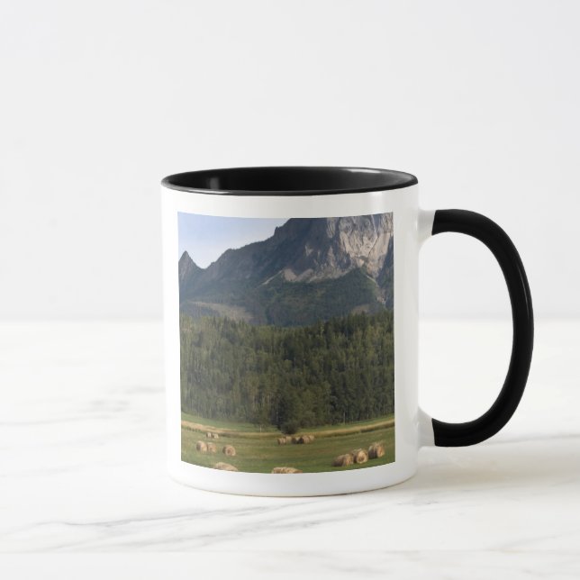 Caneca Campos com feno enfardado, Alberta, Canadá (Direita)