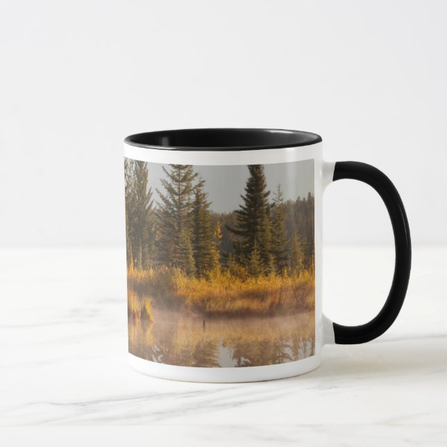 Caneca Canadá, Alberta, Parque Nacional Jasper (Direita)