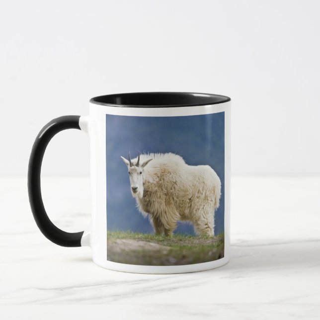 Caneca Canadá, Alberta, Parque Nacional Jasper, (Esquerda)