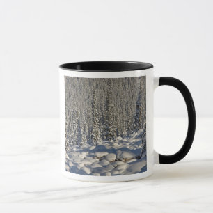 Caneca Canadá, Alberta, Parque Nacional Jasper.