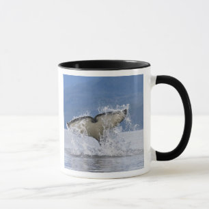 Caneca Canadá, Colúmbia Britânica, Ilha de Vancouver,
