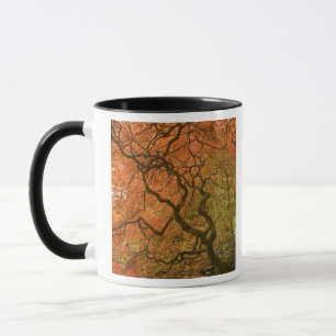 Caneca CANADÁ, Colúmbia Britânica, Vitória. Outono 2