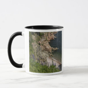 Caneca Canadá, Nova Escócia, Ilha do Cabo Breton, Cabot 3