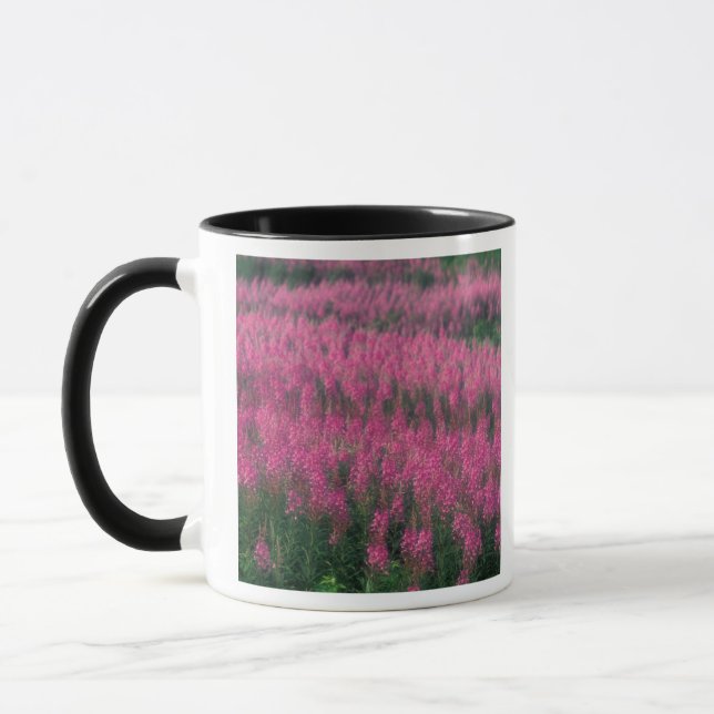 Caneca Canadá, Quebec, Gaspe. Flores Roxas de Lythrum, (Esquerda)