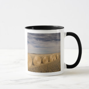 Caneca Canadá, Saskatchewan, Craik: Fardos de feno / Outo
