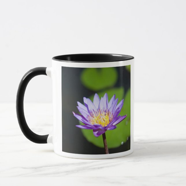 Caneca Cancun, México (Esquerda)