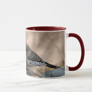 Caneca Caneca: Cintilação do norte