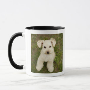 Caneca Caniche (branca)