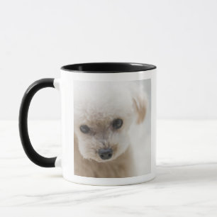 Caneca caniche de brinquedo