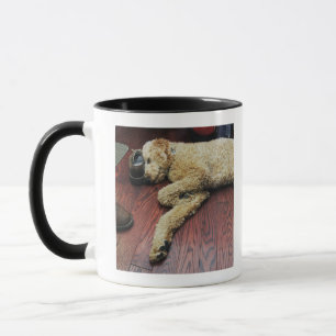 Caneca Caniche padrão que dorme no assoalho