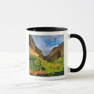 Caneca Cânion Kolob no Zion Canyon no Parque Nacional Zio