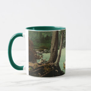 Caneca Canoagem em um Stream de Montanha Adirondack