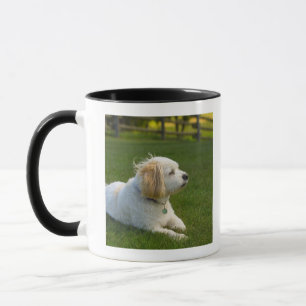Caneca Cão branco