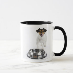 Caneca Cão com grande bacia