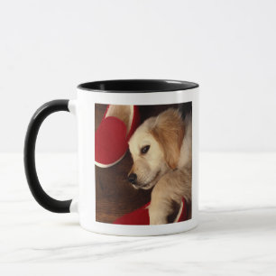 Caneca Cão com os calçados que encontram-se no assoalho