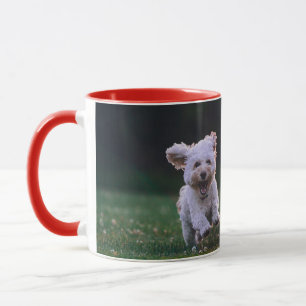 Caneca cão correndo feliz