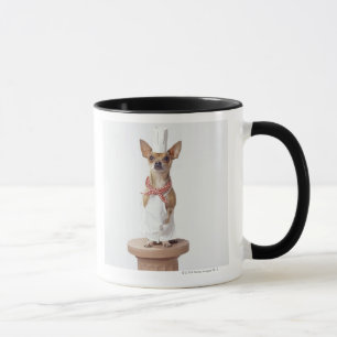 Caneca Cão da chihuahua que veste os brancos do