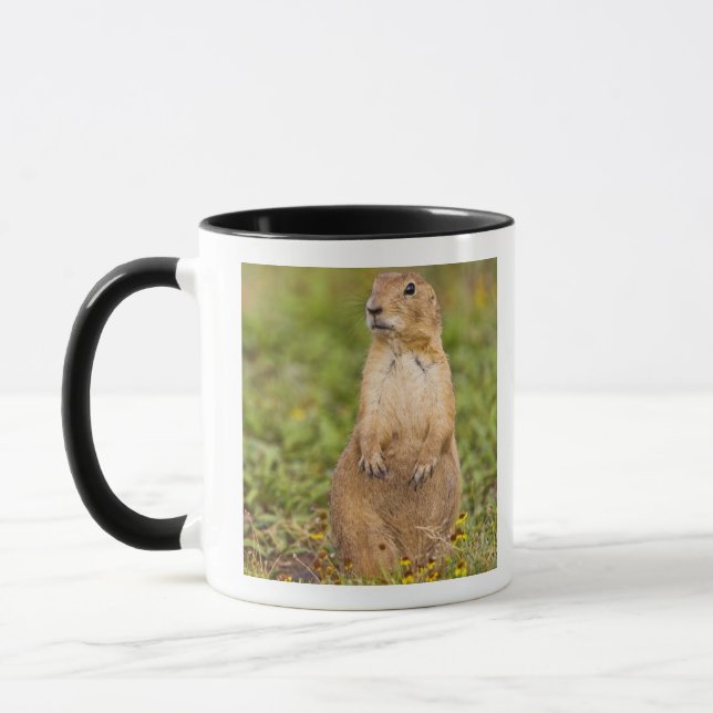 Caneca Cão-de-pradaria-de-cauda-preta Cynomys (Esquerda)