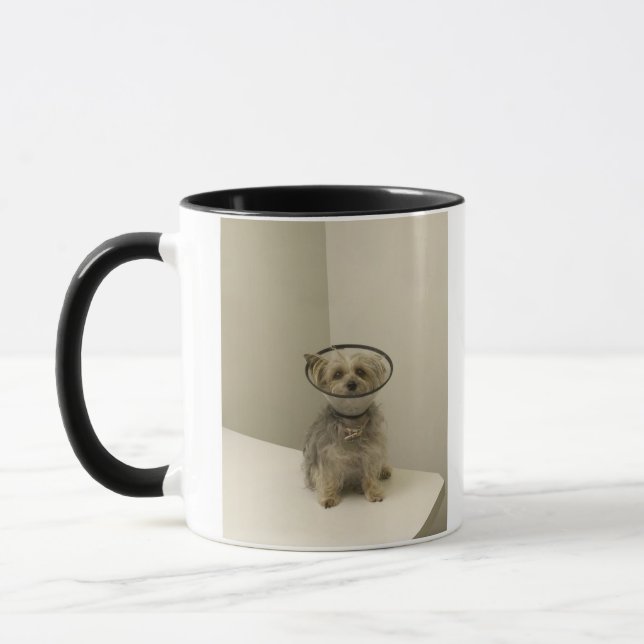 Caneca Cão de Terrier que veste o colar protetor, (Esquerda)