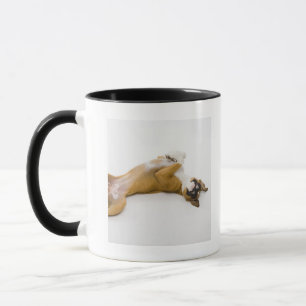 Caneca Cão do pugilista que coloca nela para trás no