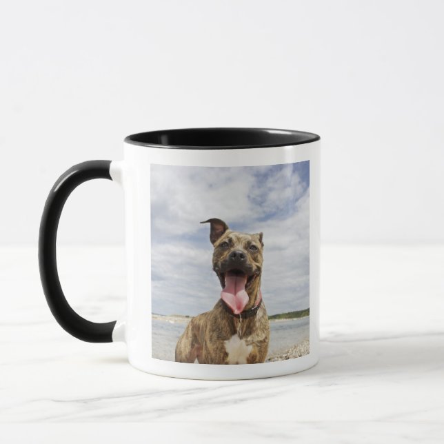 Caneca cão na praia (Esquerda)