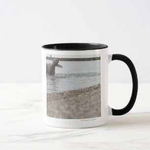 Caneca Cão no lago que agita fora da água