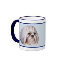 Cão rajado e branco de Shih Tzu