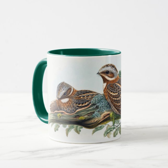 Caneca Caprimulgus Ruficollis (Frente Esquerda)