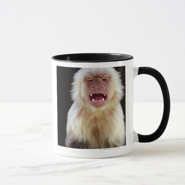 Caneca capuchin Branco-throated (capucinus de Cebus) (Direita)