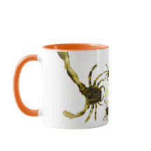 Caranguejos Abstrato e Piscinas de rocha de peixe