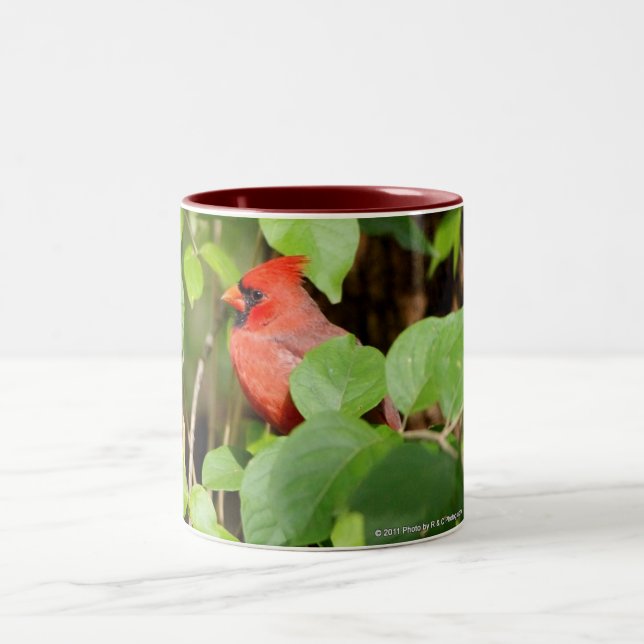 caneca cardinal (Centro)