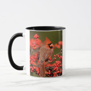 Caneca Cardinal-do-norte em Winterberry Comum