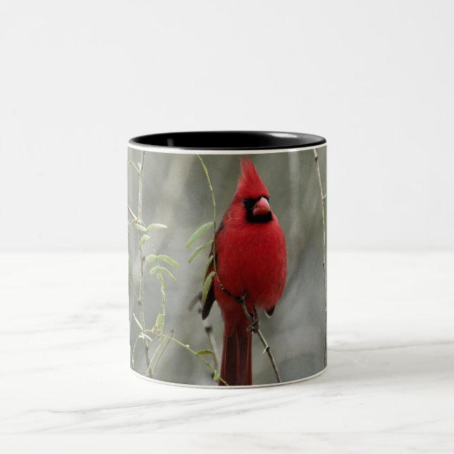 Caneca cardinal lindo da foto (Centro)