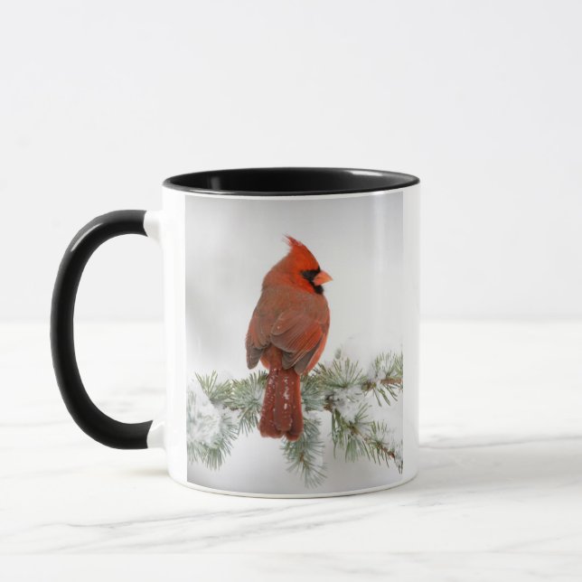 Caneca Cardinal-vermelho macho no Cedro-do-Atlas Azul (Esquerda)
