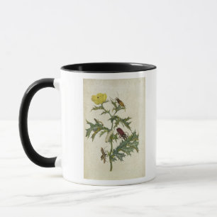 Caneca Cardos Spinosus: Besouros e lagartas, placa 6